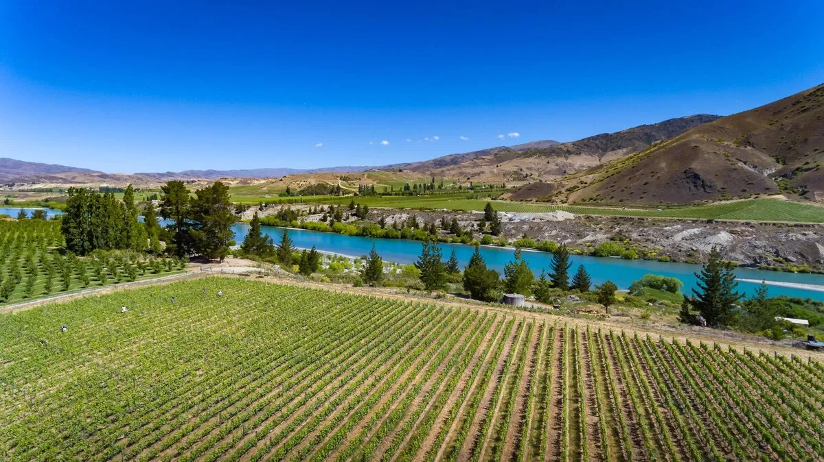 Photo of Nockies Palette & Stoneridge Cellar Door