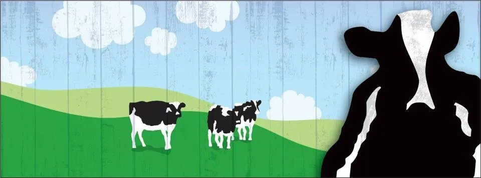 Photo of Ben & Jerry’s Wellington