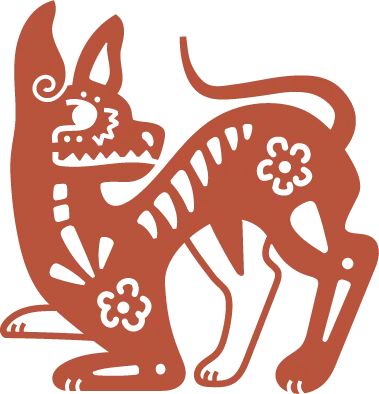 Photo of Xolo