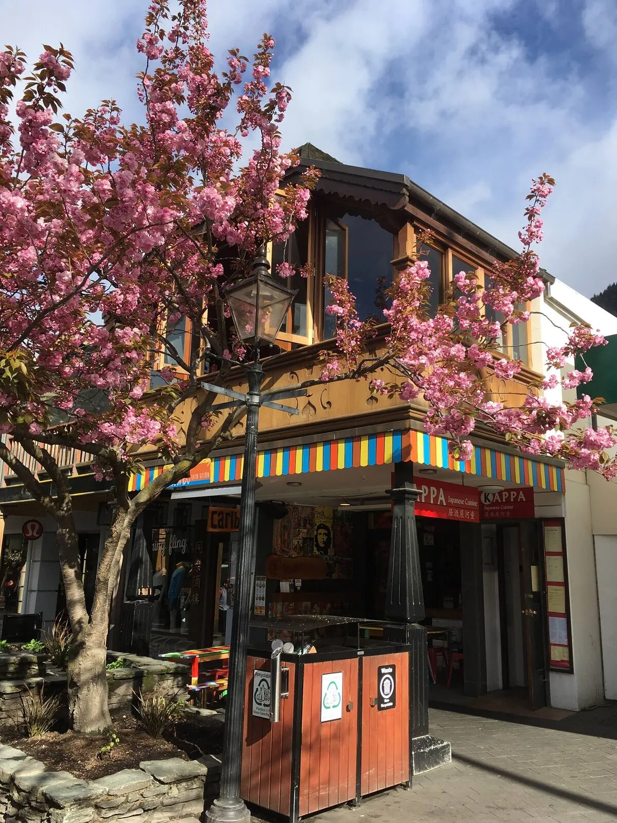Photo of Japanese Cuisine Kappa