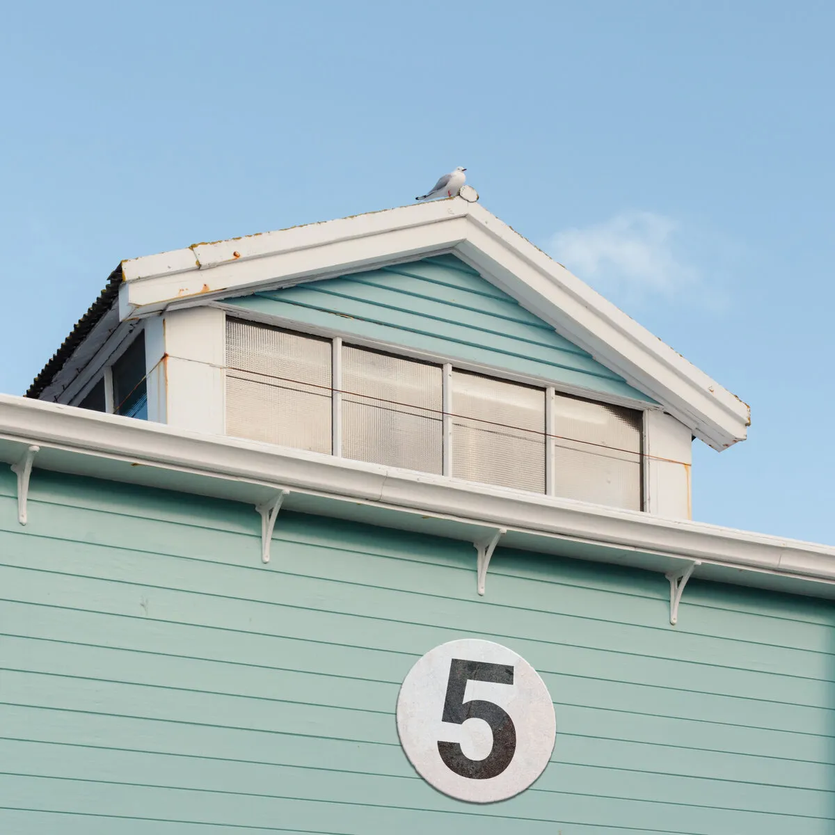 Photo of Shed 5