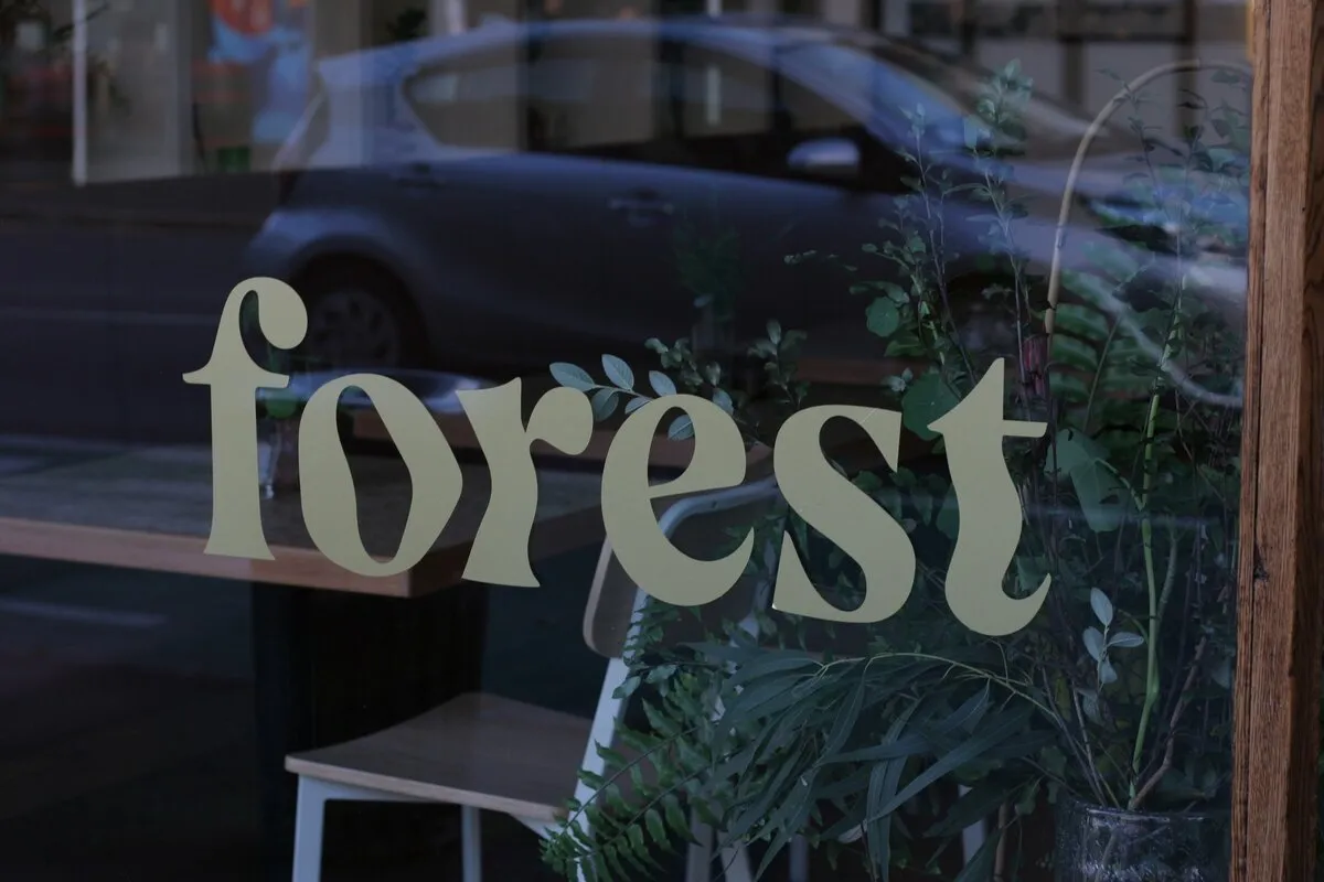 Photo of Forest