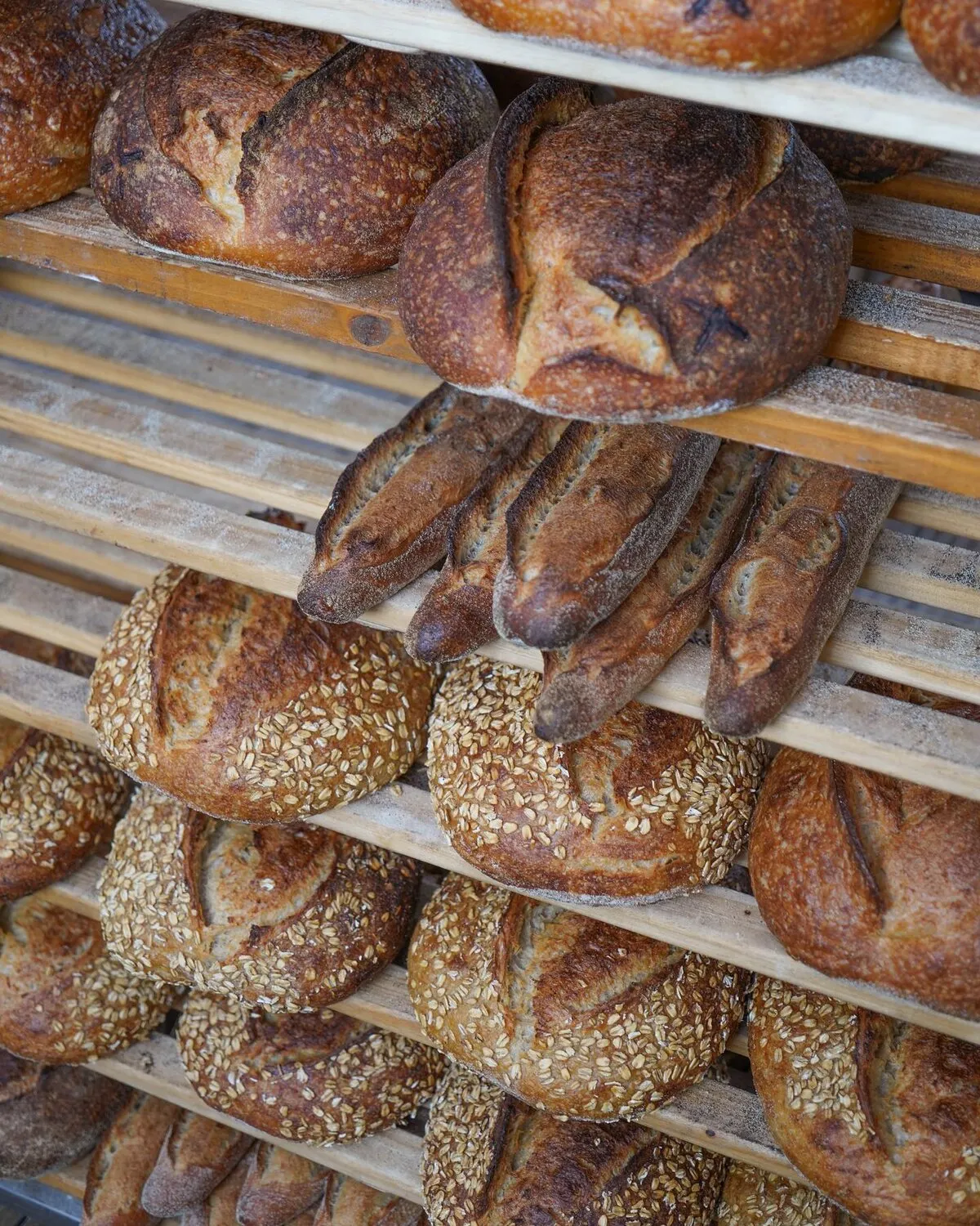 Photo of Daily Bread — Pt Chev