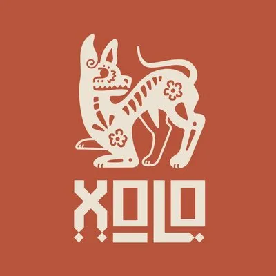 Photo of Xolo