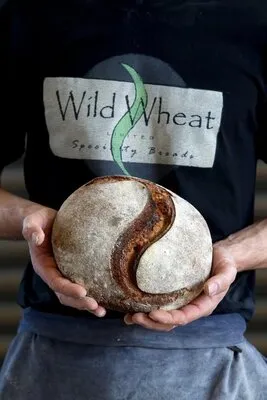Photo of Wild Wheat Mt Albert
