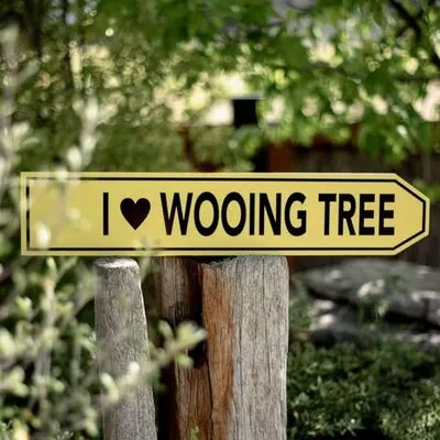 Photo of Wooing Tree Cellar Door & Kitchen