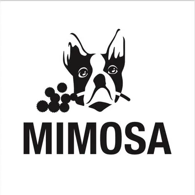 Photo of Mimosa