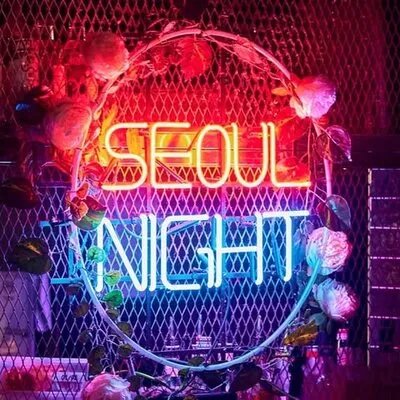Photo of Seoul Night