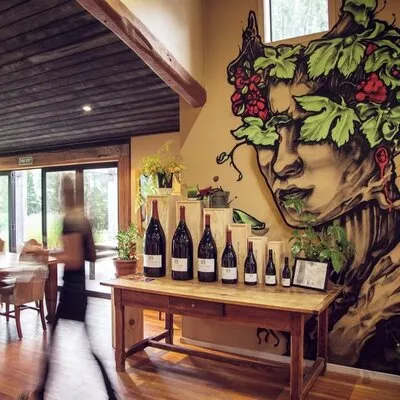 Photo of Mount Edward Winery & Cellar Door