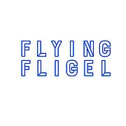 Photo of Flying Fligel